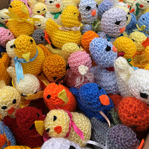 HMG Support Francis House Easter Chick Knit 2024